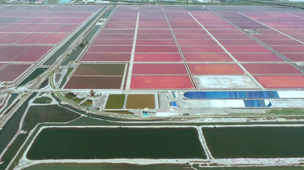 �����^(gu��n)���_(t��i)���߲��}��