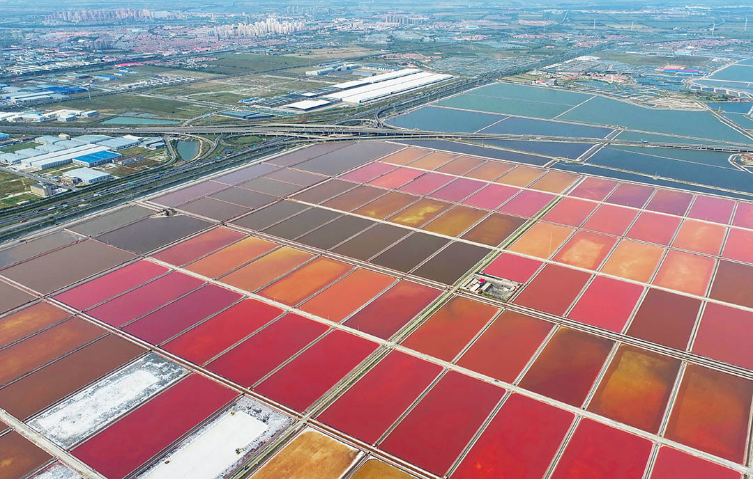 ����L�J�h���}������؟(z��)�ι�˾2023��������ȭh(hu��n)���O(ji��n)�y��(b��o)��